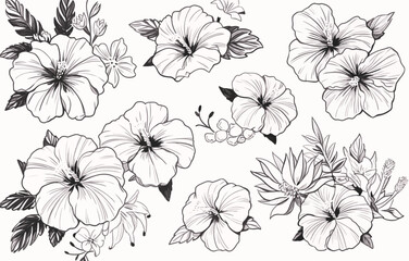 Botanical drawing. Minimal plant logo, meadow greenery, leaf and blooming flower abstract sketch element collection, linear rustic branch. Vector hand drawn wedding invitation bouquet decoration set