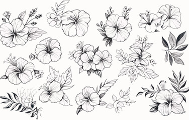 Botanical drawing. Minimal plant logo, leaf and blooming flower abstract sketch element collection, linear rustic branch. Vector hand drawn wedding invitation bouquet decoration set © No background