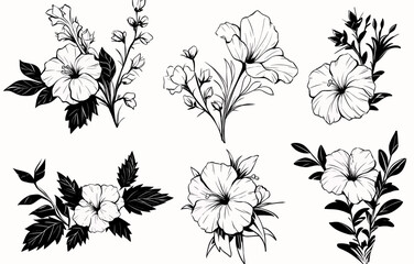 Botanical drawing. Minimal plant logo, leaf and blooming flower abstract sketch element collection, linear rustic branch. Vector hand drawn wedding invitation bouquet decoration set