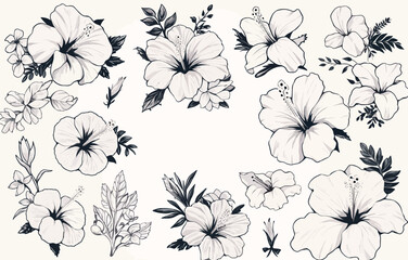 Botanical drawing. Minimal plant logo, leaf and blooming flower abstract sketch element collection, linear rustic branch. Vector hand drawn wedding invitation bouquet decoration set