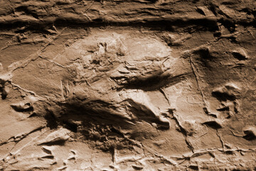 Dinosaur fossil footprint in Queensland, Australia
