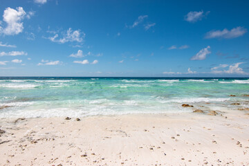 Fototapeta na wymiar Tropical beach, Assumption Island, Seychelles.
