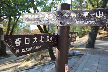 奈良・春日大社