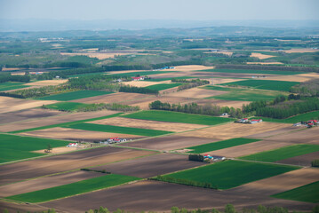 牧場が広がる雄大な十勝平野