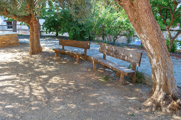 wooden benches in public park