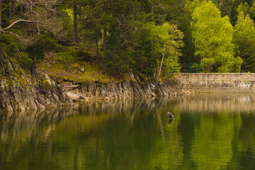 PARQUE NATURAL ESTANY DE SANT MAURISI (aigues tortes)