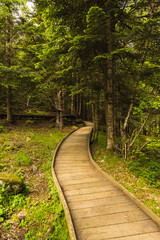 PARQUE NATURAL ESTANY DE SANT MAURISI (aigues tortes)