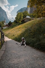 Fototapete bei efototapeten.de bestellen   