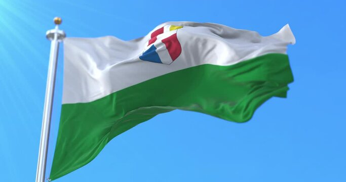 Flag of Rapla County, Estonia. Loop