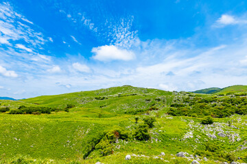 Obraz premium 青空と新緑とカルスト大地