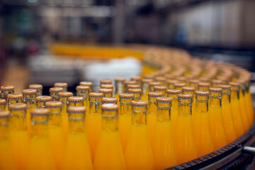 Beverage factory interior. Conveyor flowing with bottles for juice
