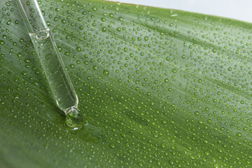 A drop of raw material flows from a medical pipette