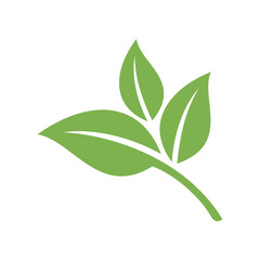 Green Leaf Vector, Eco Leaves Spa Logo Template