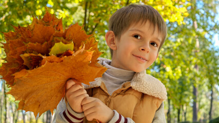 Portrait of cute boy holding autumn maple tree leaves looking in camera at park. Child outdoors, happy kids and childhood, autumn landscape.