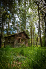 Old garden cabin with green forest on the background in Pyrenees mountains, France