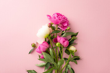 Fresh flowers bouquet concept. High angle view photo of bunch of bright pink and white peony...