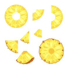 vector cutaway pineapple in different parts. a set of pineapple pieces of various sizes