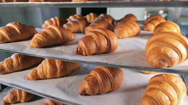 Freshly baked croissants. Delicious pastries. Delicious croissants only from the oven. Close-up