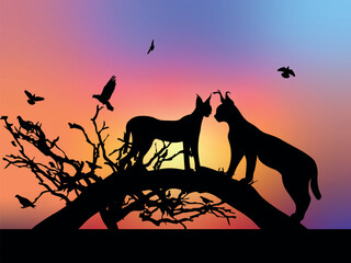 Fototapeta premium Silhouette of a pair of caracal cats vector illustration.
