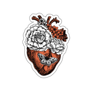 Tattoo anatomy vintage illustration. Floral anatomical heart.