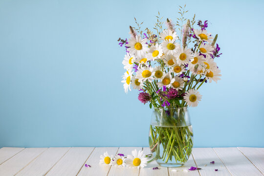 Bouquet of white daisies and other wildflowers in a glass vase on a blue background