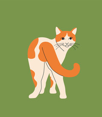 Cat hand drawn isolated. Vector flat style illustration
