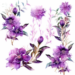 Obraz na płótnie Canvas Set of purple floral watecolor. flowers and leaves. Floral poster, invitation floral. Vector arrangements for greeting card or invitation design 