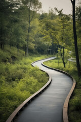 Fototapeta premium A winding path in the forest.