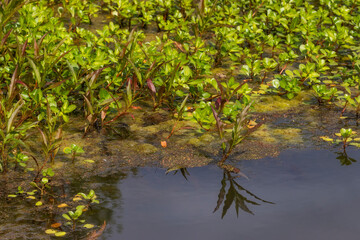 Sights seen while on a nature walk.