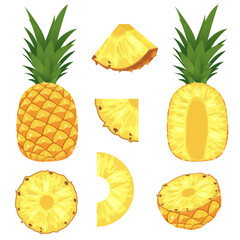 vector cutaway pineapple in different parts. a set of pineapple pieces of various sizes