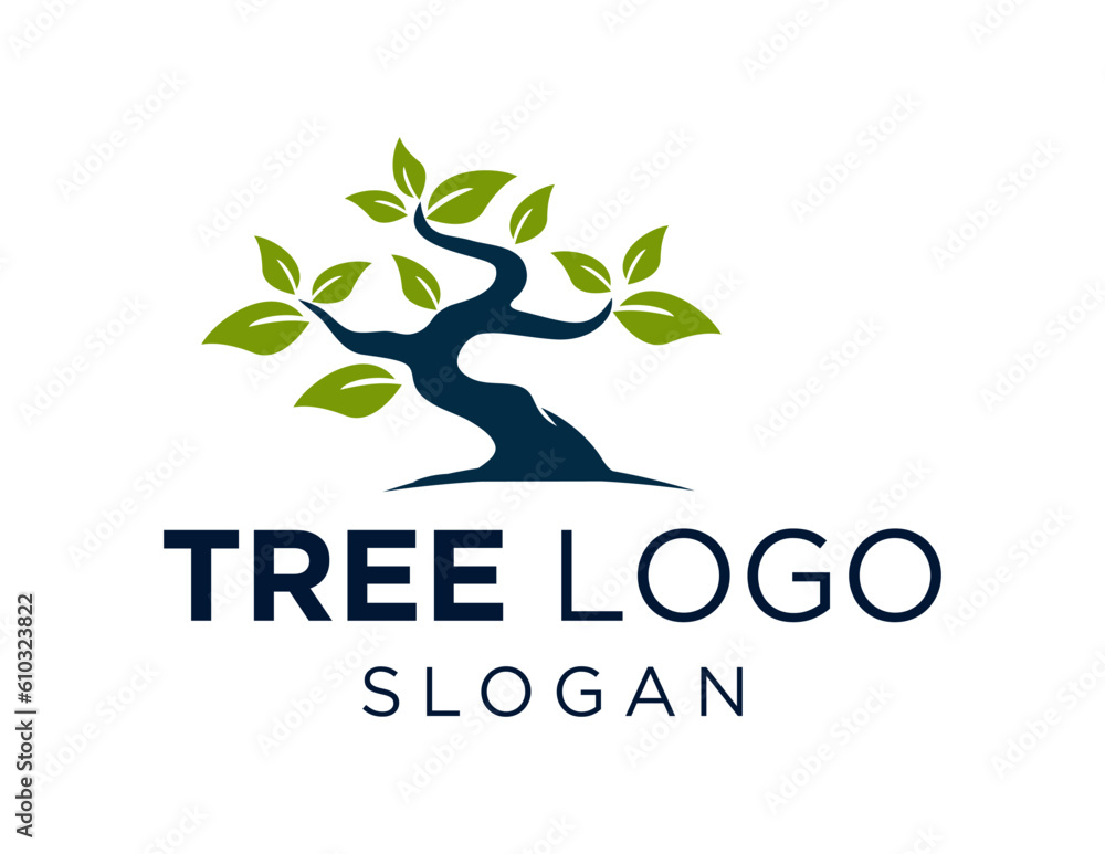 Poster logo about tree on a white background. created using the coreldraw application.