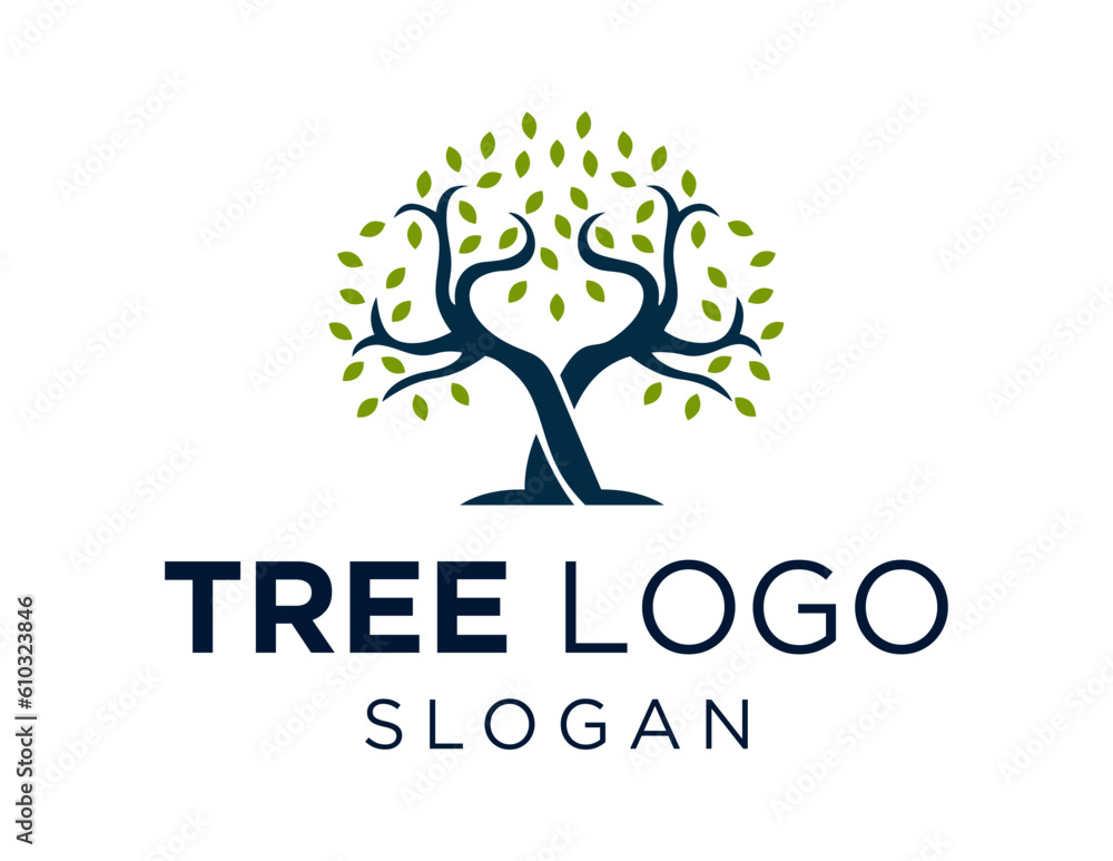 Poster logo about tree on a white background. created using the coreldraw application.