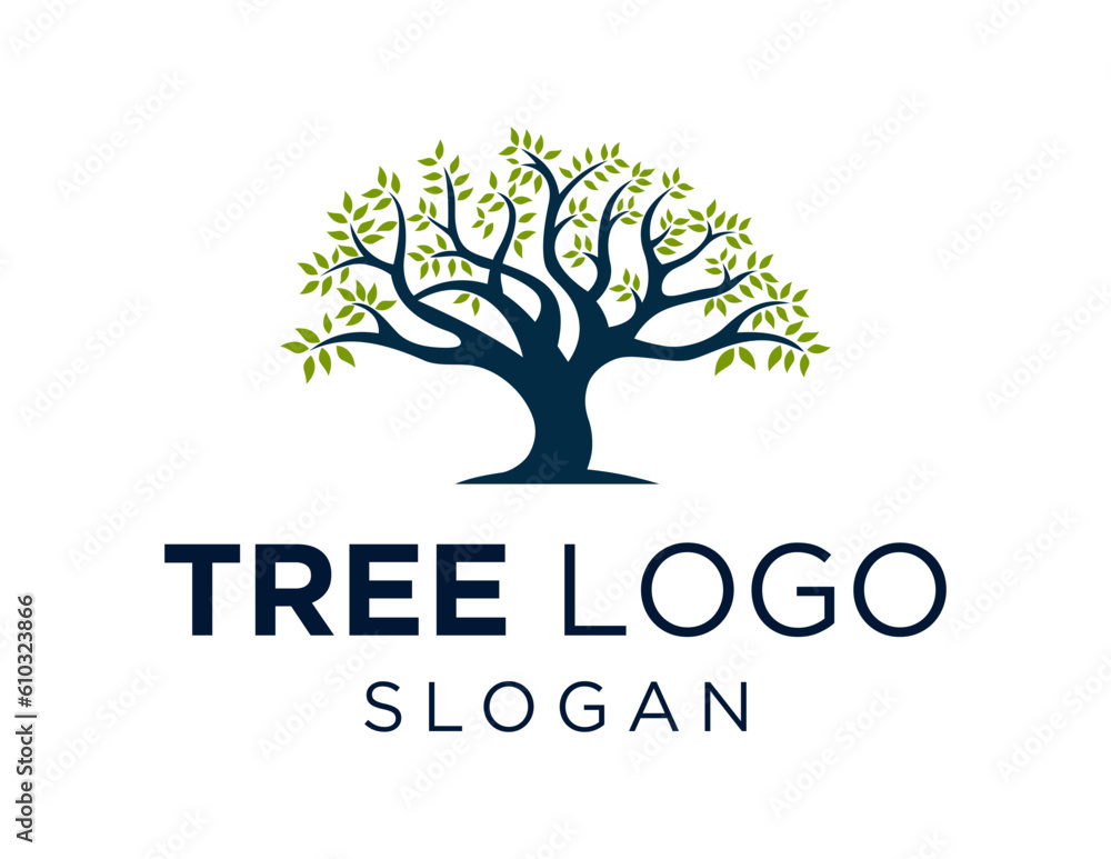 Poster logo about tree on a white background. created using the coreldraw application.