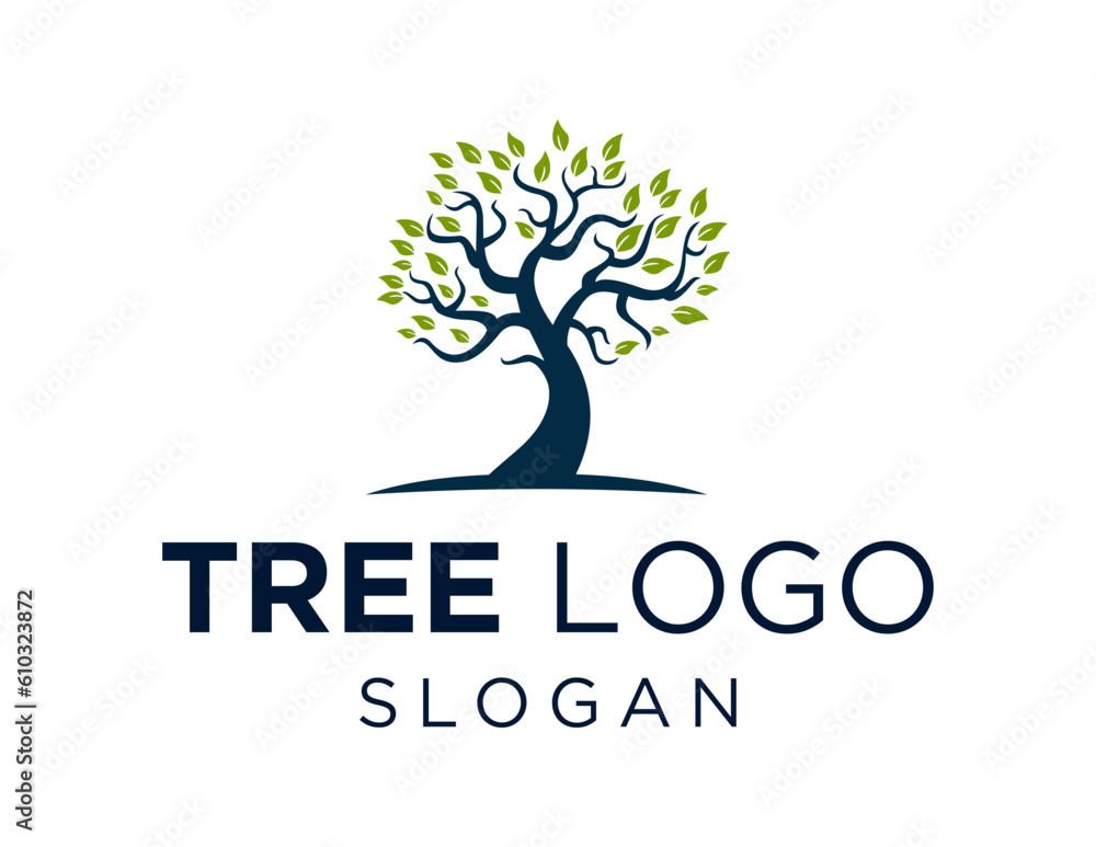 Poster logo about tree on a white background. created using the coreldraw application.