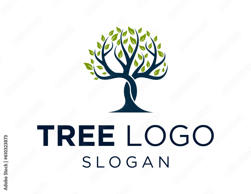 Poster logo about tree on a white background. created using the coreldraw application.