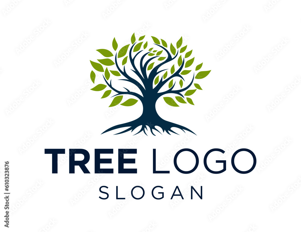 Poster logo about tree on a white background. created using the coreldraw application.