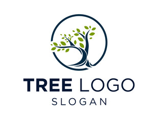 Fototapeta premium Logo about Tree on a white background. created using the CorelDraw application.
