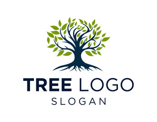 Obraz premium Logo about Tree on a white background. created using the CorelDraw application.
