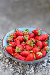 Turquoise bowl with fresh strawberries, served in a garden. Selective focus.