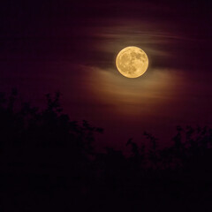Fototapeta na wymiar spooky yellowish full moon and dark clouds