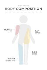 Body weight composition analysis. Different types of body elements mass: muscle tissue, bones mass, fat mass, water retention.
Human silhouette pictogram medical infographic vector illustration icon