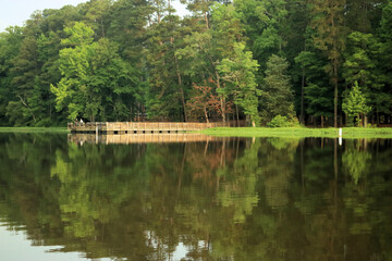 lake in the park