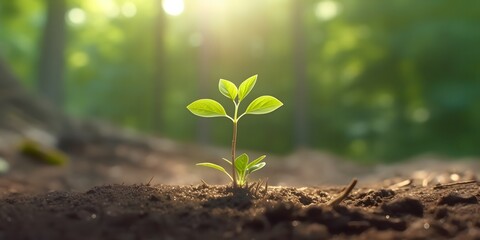 Young green plant growing at sunlight.Generative ai.
