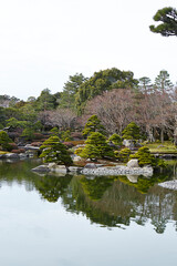 Fototapeta premium japanese garden with pond and trees