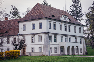 Fototapeta na wymiar Old chateau - seat of local authorities in Brezolupy village, Czech Republic
