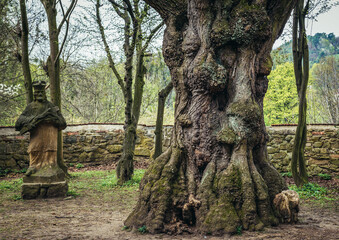 Old tree and sculpture in park behind chateau in Vizovice town in Czech Republic