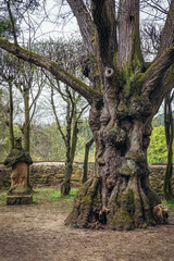 Old tree and sculpture in park behind chateau in Vizovice town, Czech Republic
