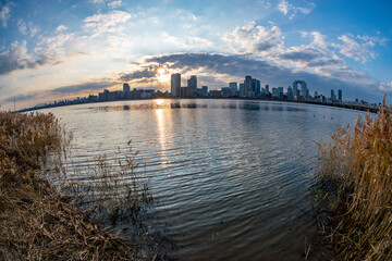 View of riverside with a blue sky, some plants and Umeda city in the background