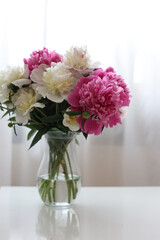 bouquet of pink and white peonies flowers with a white background