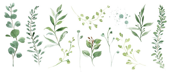 Green clipart leaves, eucalyptus leaves and forest herbs, watercolor clipart